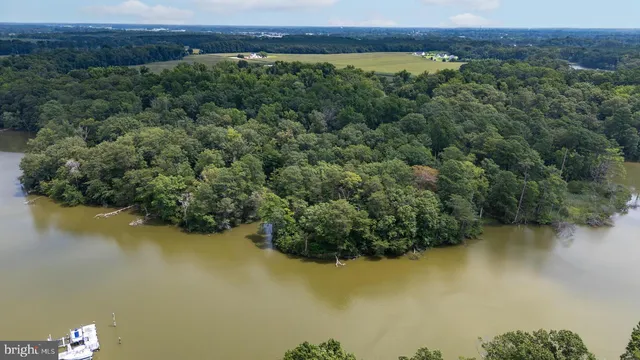 a view of a lake with a mountain and trees in the background