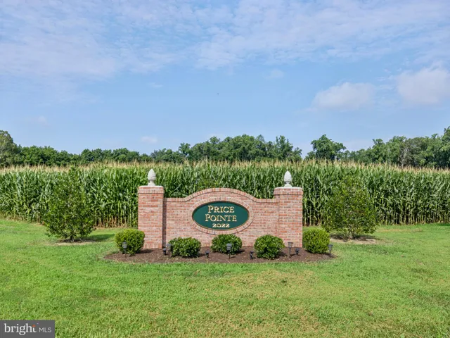 a view of a wooden fence with a big yard and large trees