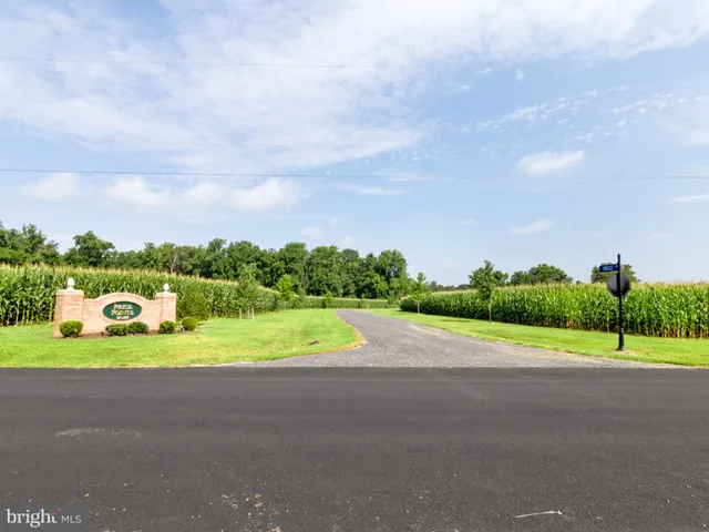 a view of road and grass