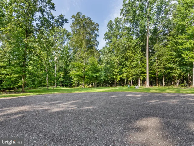 a view of a park with large trees