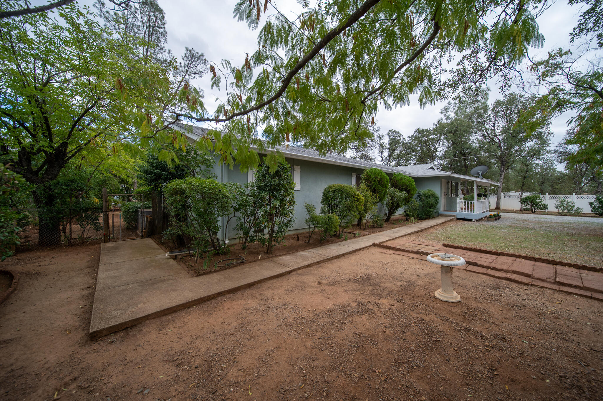 9807 Logan Road Palo Cedro, CA 96073 - Photo 29 of 53 a view of a yard with potted plants and large trees
