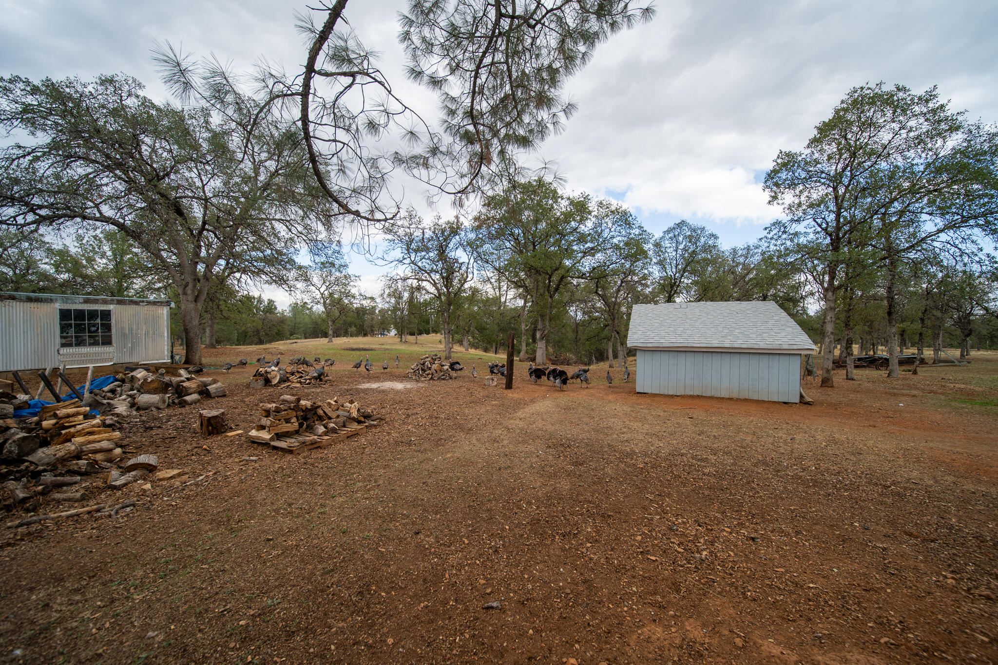 9807 Logan Road Palo Cedro, CA 96073 - Photo 36 of 53 LoganRd-EXT-09