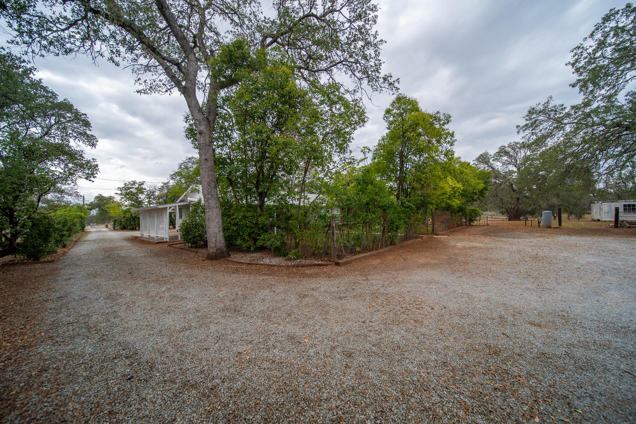 9807 Logan Road Palo Cedro, CA 96073 - Photo 39 of 53 a view of a field with trees in front of it
