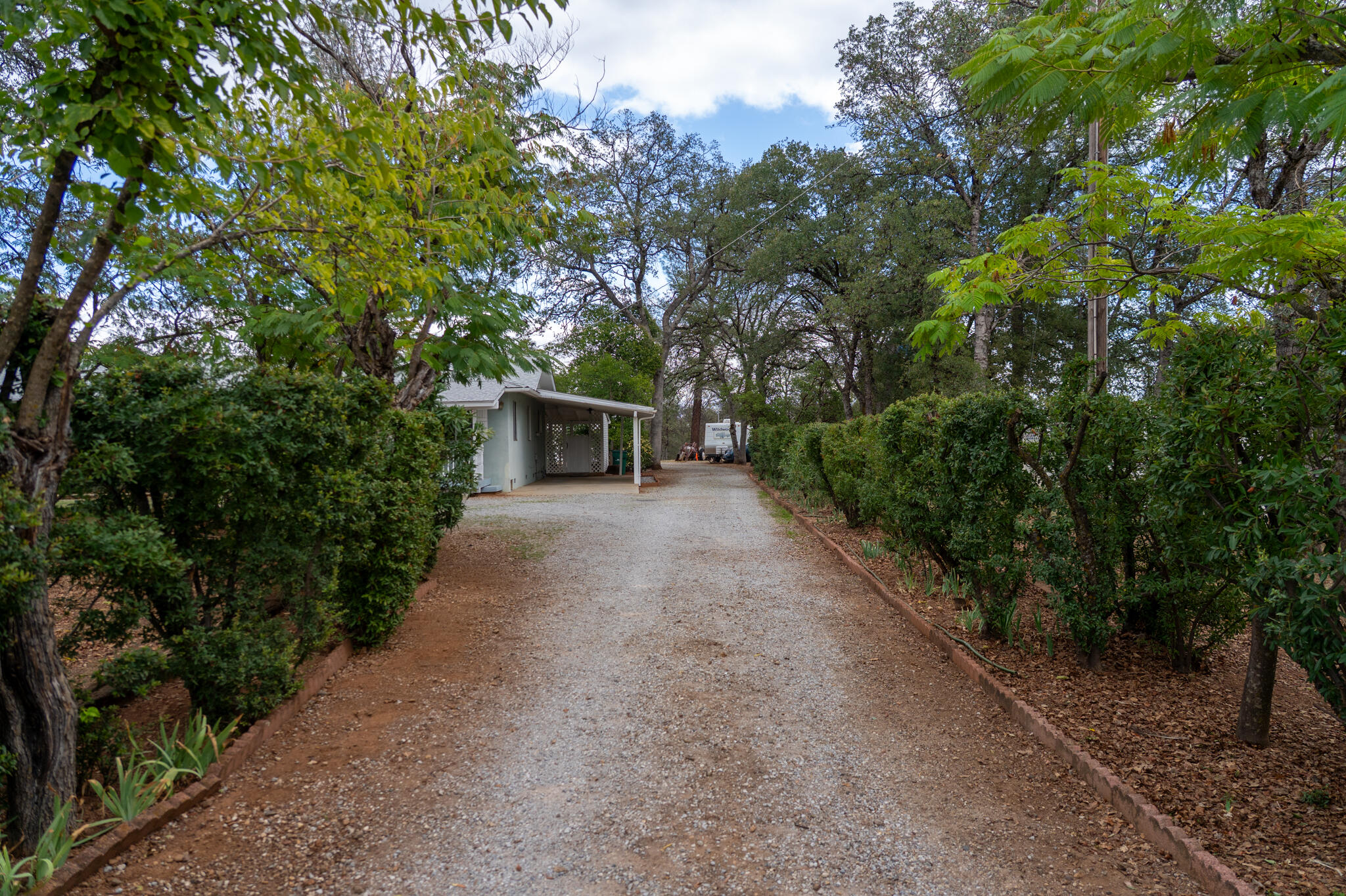 9807 Logan Road Palo Cedro, CA 96073 - Photo 45 of 53 a view of a dry backyard with large trees