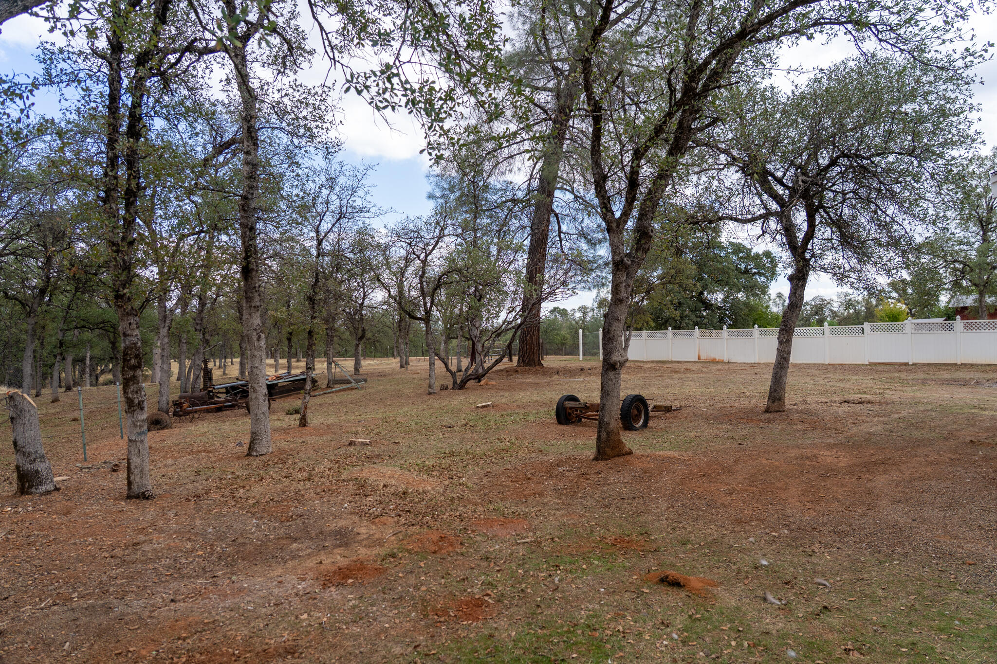 9807 Logan Road Palo Cedro, CA 96073 - Photo 50 of 53 a view of outdoor space with trees