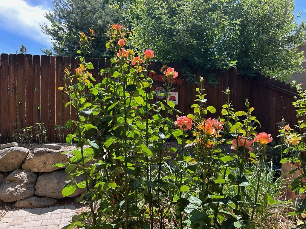 62944 Fresca Street Bend, OR 97703 - Photo 25 of 32 a backyard of a house