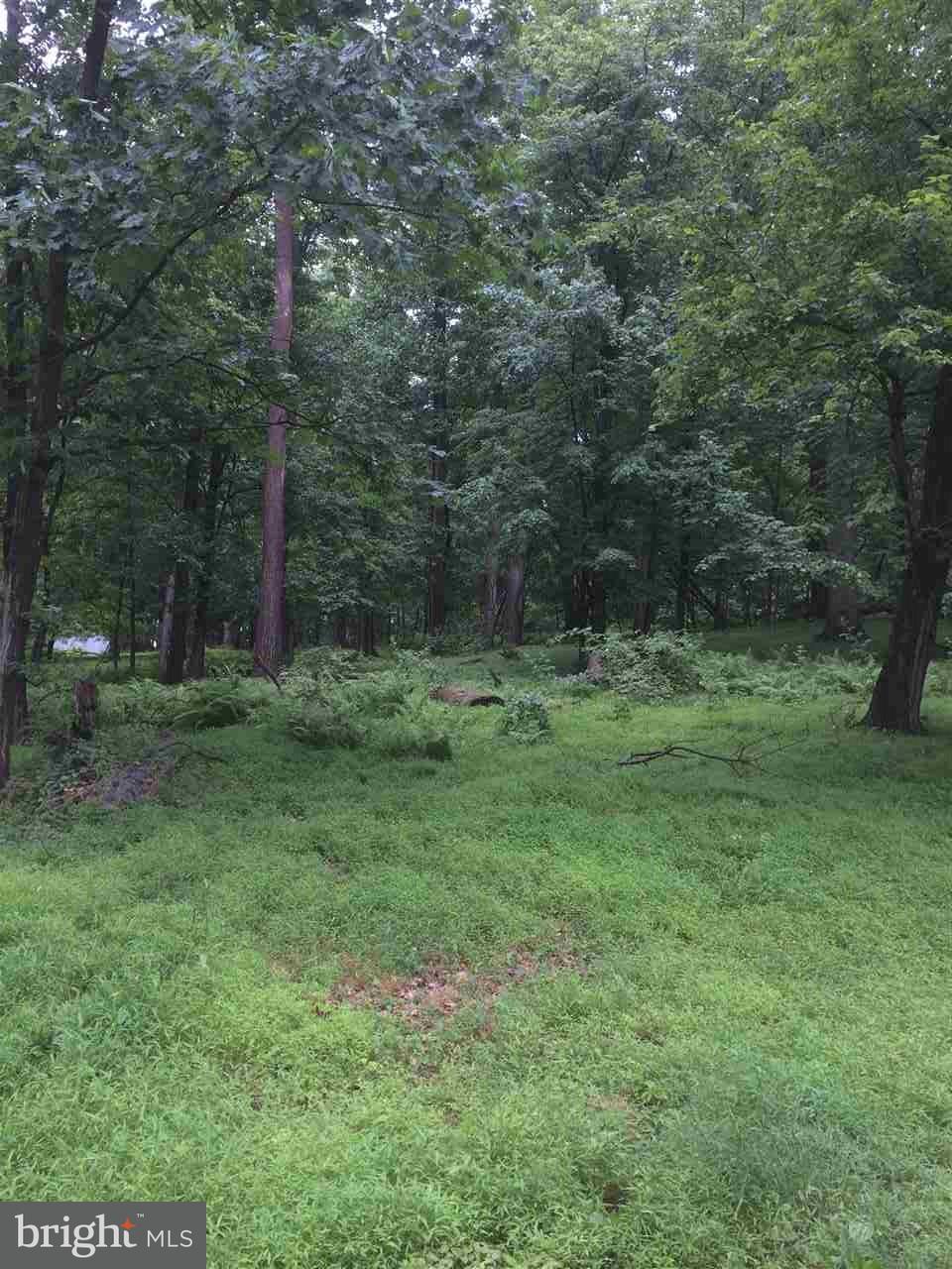 10455 Enfield Road Felton, PA 17322 - Photo 7 of 35 Gallery Image 7