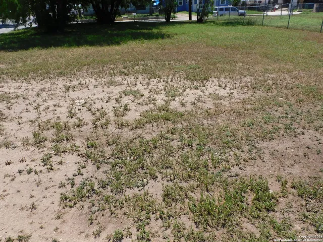 a view of a yard with plants and trees