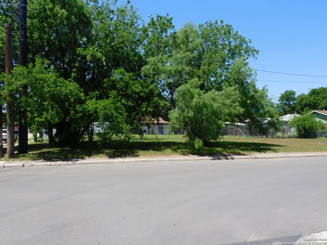 a view of a yard with plants and trees