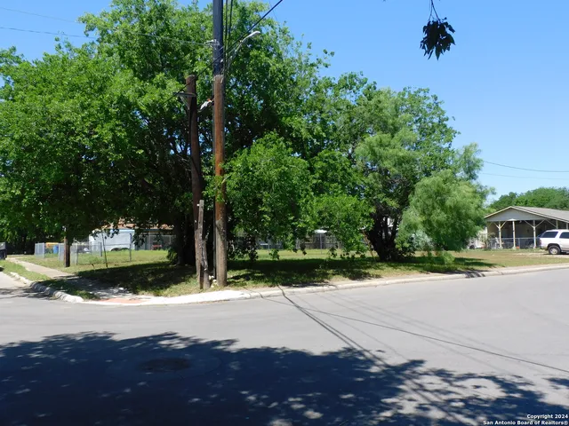 a view of a yard with plants and trees