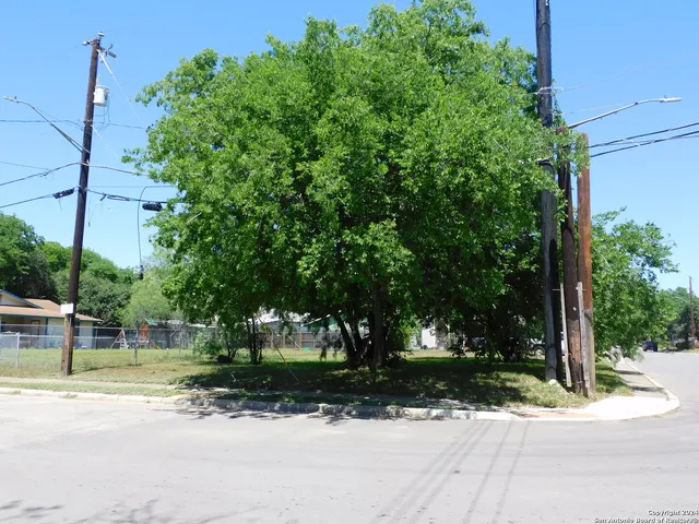 a view of a yard with plants and a tree
