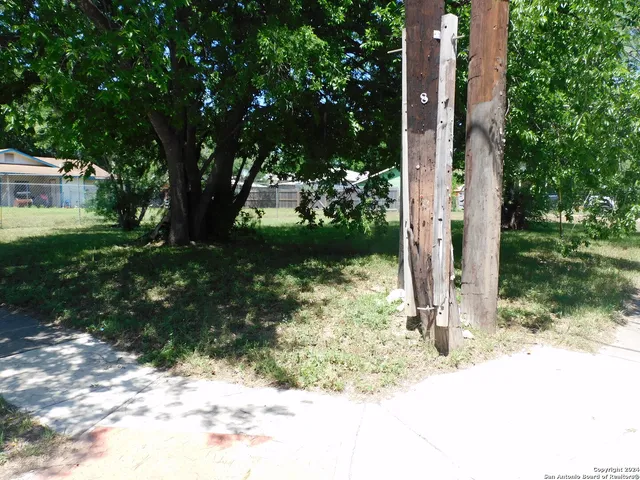 a view of a garden with plants