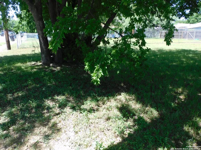 a view of a backyard with large trees