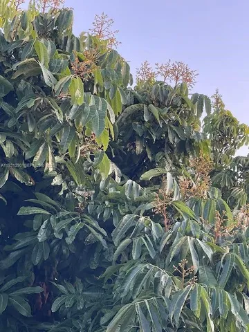 $796,000 | 217 Ave, Homestead, FL 33034