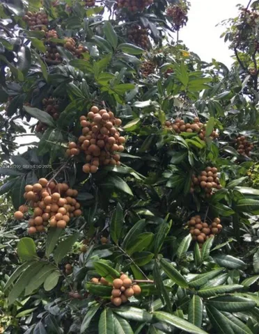 $796,000 | 217 Ave, Homestead, FL 33034