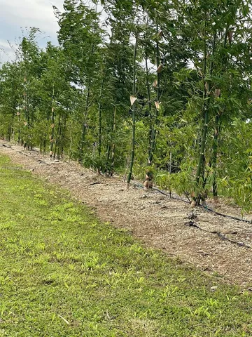 $796,000 | 217 Ave, Homestead, FL 33034