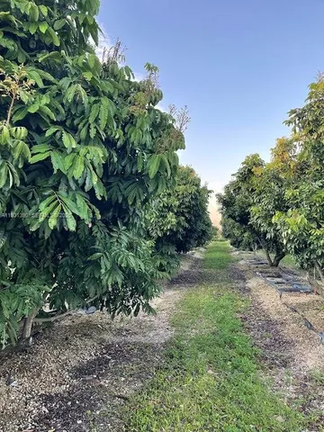 $796,000 | 217 Ave, Homestead, FL 33034