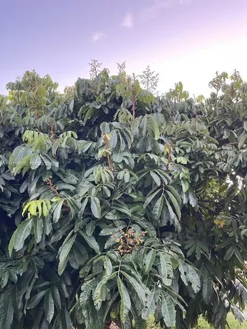 $796,000 | 217 Ave, Homestead, FL 33034