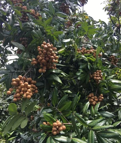 $796,000 | 217 Ave, Homestead, FL 33034