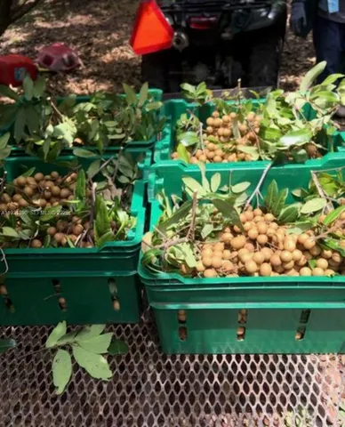 $796,000 | 217 Ave, Homestead, FL 33034