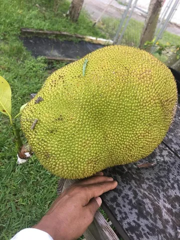 $796,000 | 217 Ave, Homestead, FL 33034