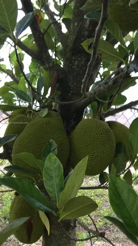 $796,000 | 217 Ave, Homestead, FL 33034