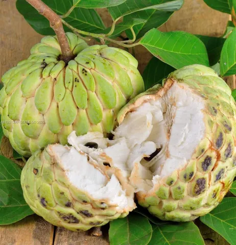 $796,000 | 217 Ave, Homestead, FL 33034