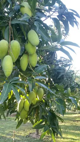 $796,000 | 217 Ave, Homestead, FL 33034