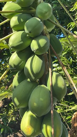 $796,000 | 217 Ave, Homestead, FL 33034