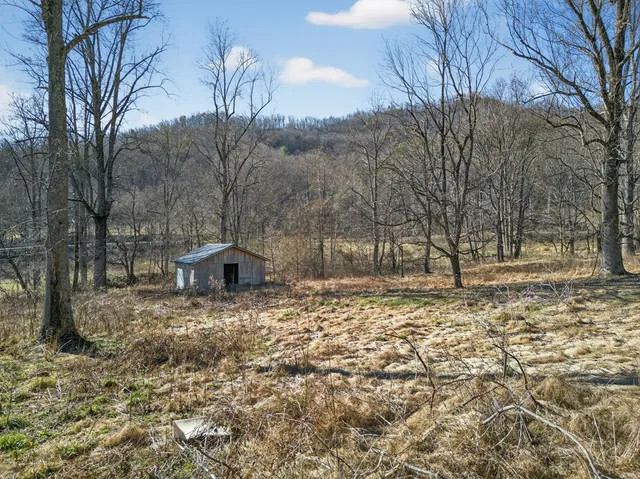 a backyard of a house with large trees