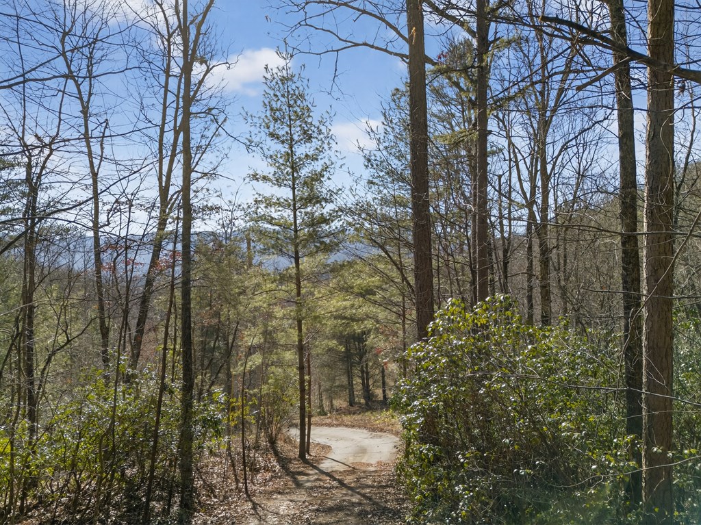793 Jackie Cove Road Hayesville, NC 28904 - Photo 35 of 47