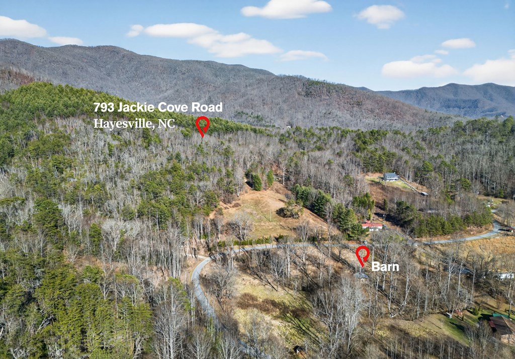 793 Jackie Cove Road Hayesville, NC 28904 - Photo 4 of 47