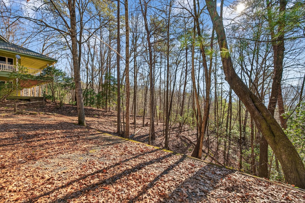 793 Jackie Cove Road Hayesville, NC 28904 - Photo 41 of 47