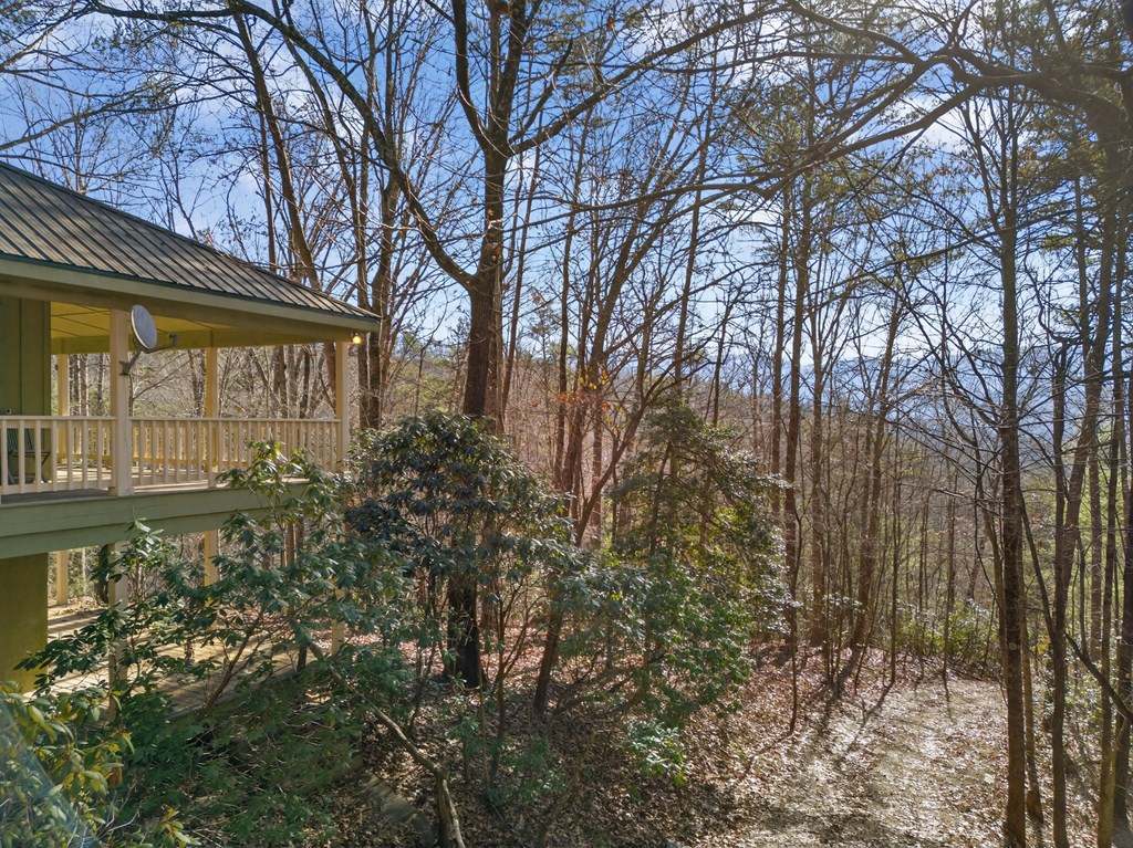 793 Jackie Cove Road Hayesville, NC 28904 - Photo 43 of 47