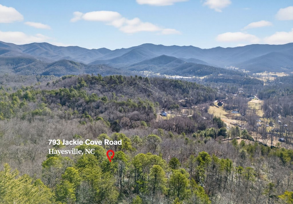 793 Jackie Cove Road Hayesville, NC 28904 - Photo 5 of 47