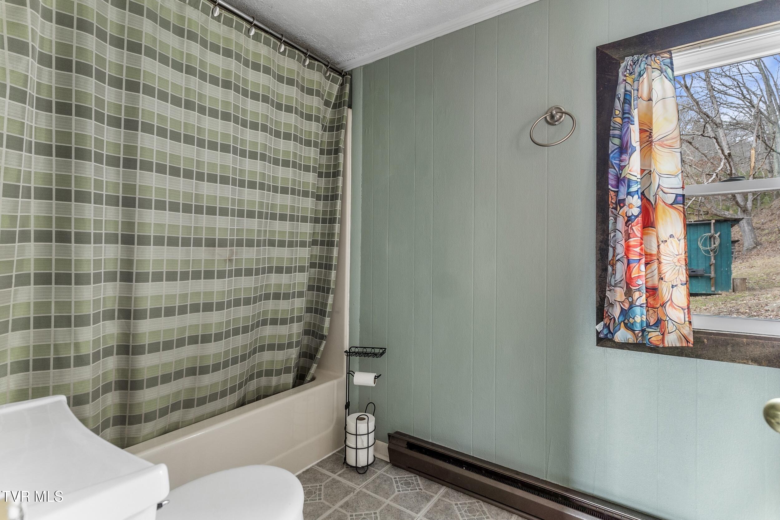 201 Falling Rock Road Saltville, VA 24370 - Photo 24 of 58 22_arw09714