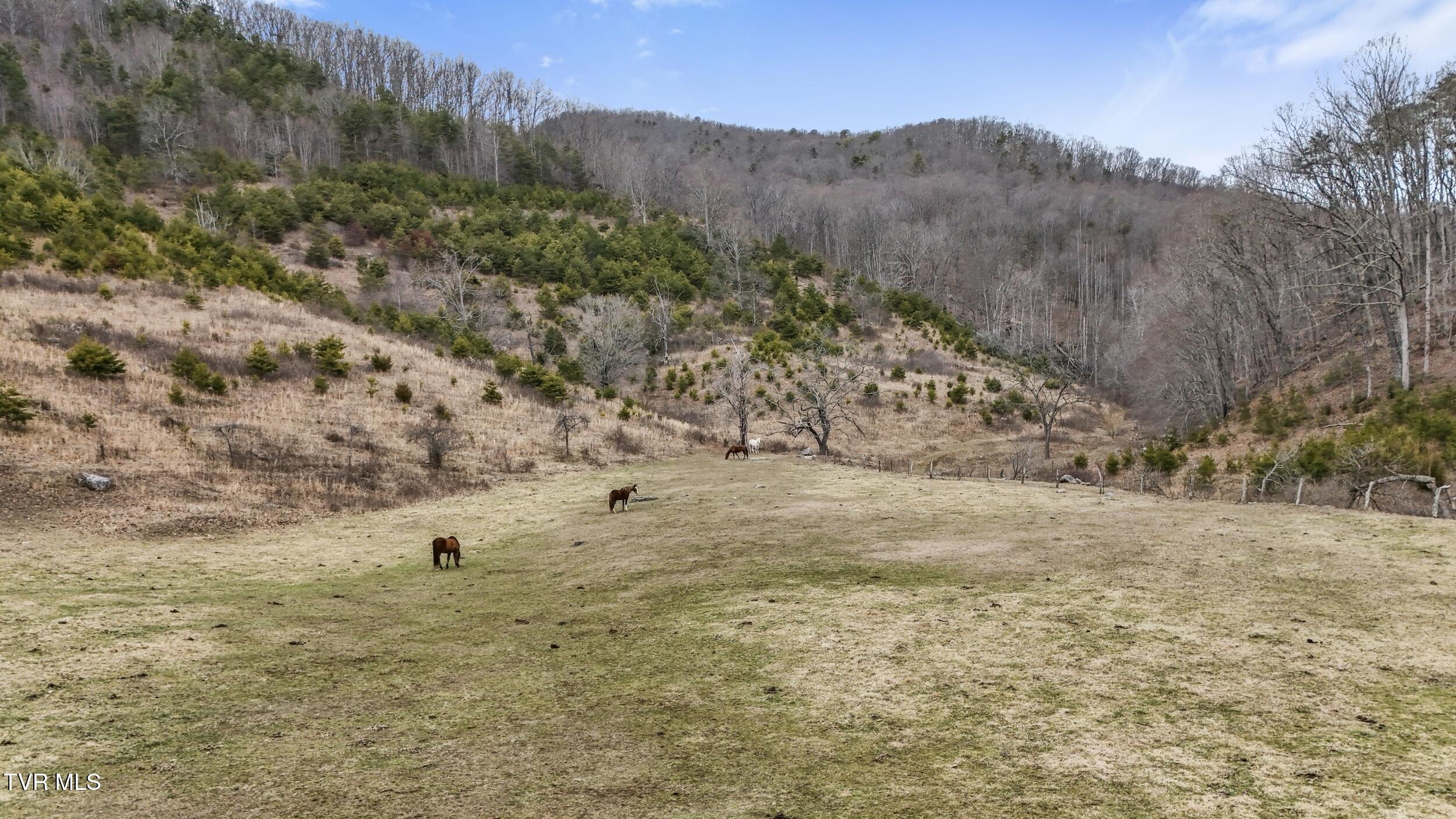 201 Falling Rock Road Saltville, VA 24370 - Photo 47 of 58 47_dji_20250130141512_0427_d