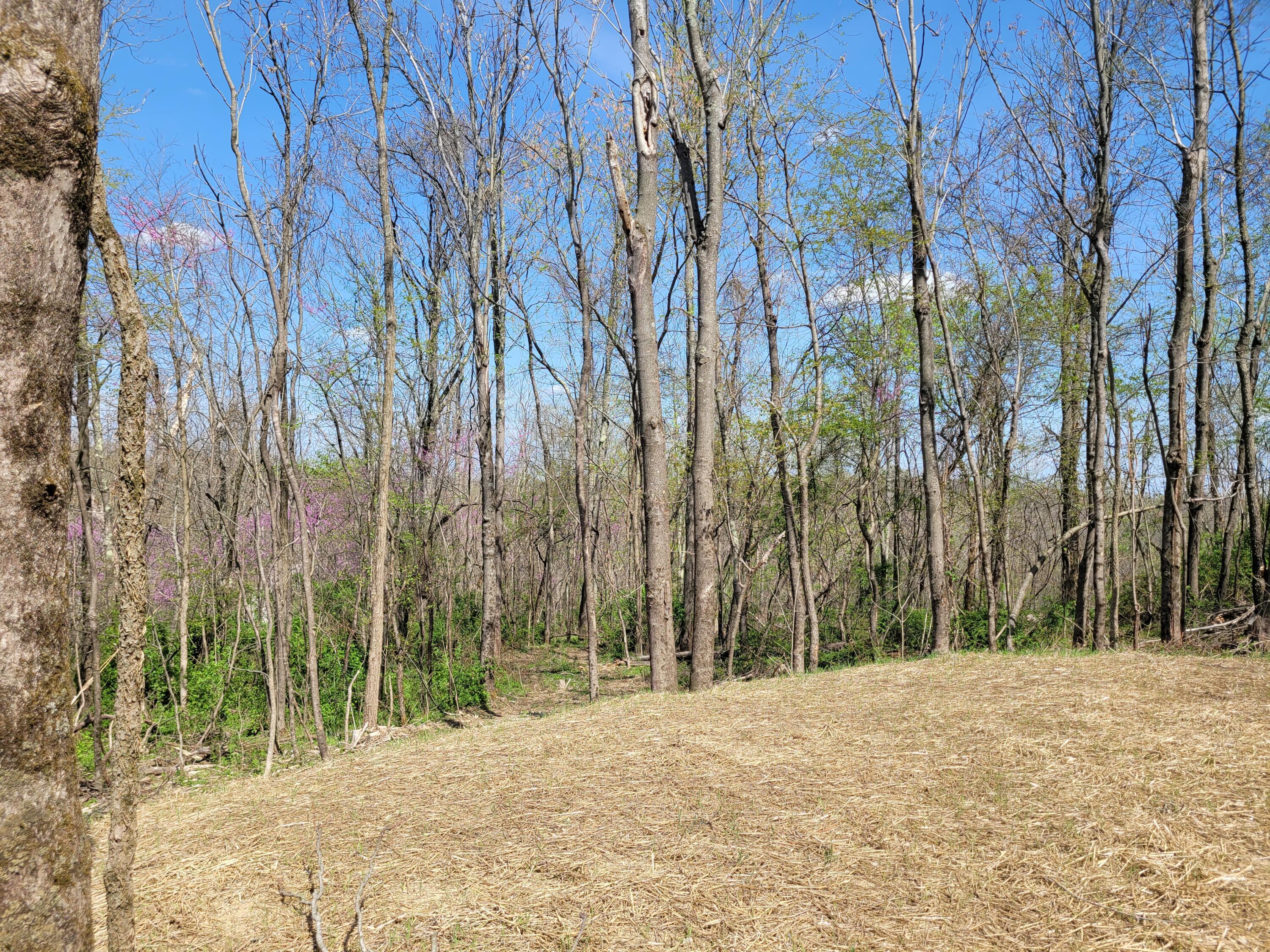 8700 Hoop Pole Road Roseville, OH 43777 - Photo 21 of 46 20220424_120554