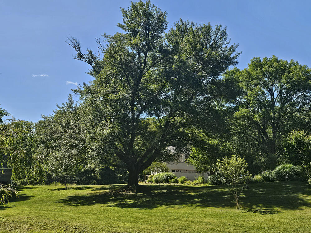 608 River Road Newcastle, ME 04553 - Photo 24 of 102 Sweeping Lawn