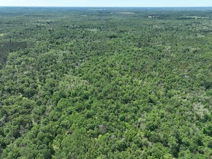 13 West 13 Mile Road, Unit PAR A Bitely, MI 49309 - Photo 12 of 15