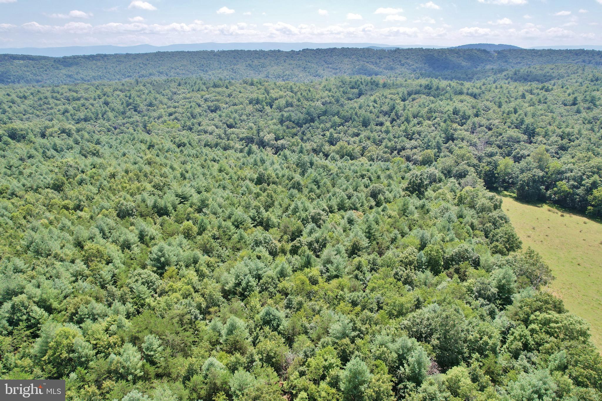 Alum Springs Road Edinburg, VA 22824 - Photo 9 of 20