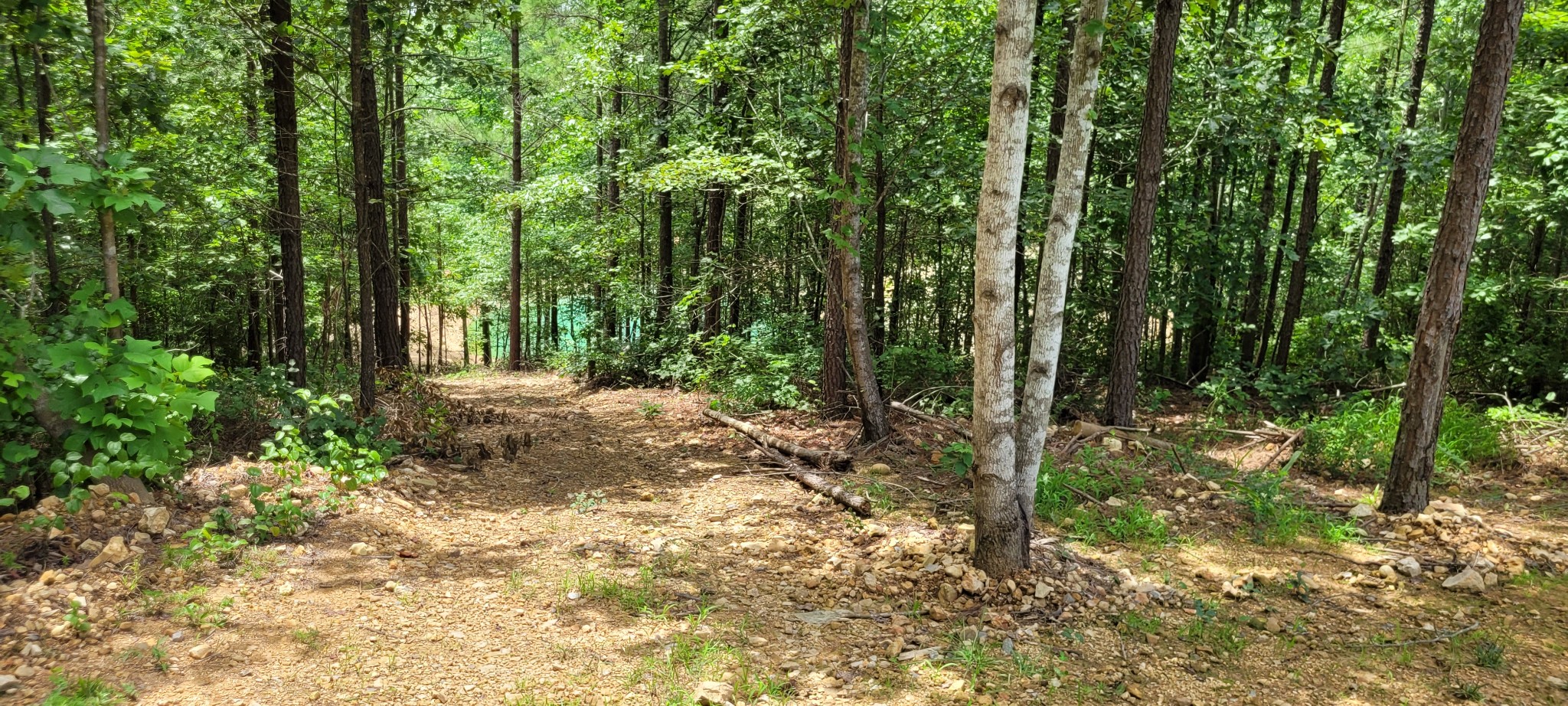 167 Freeman Fielder Road Tennessee Ridge, TN 37178 - Photo 33 of 60