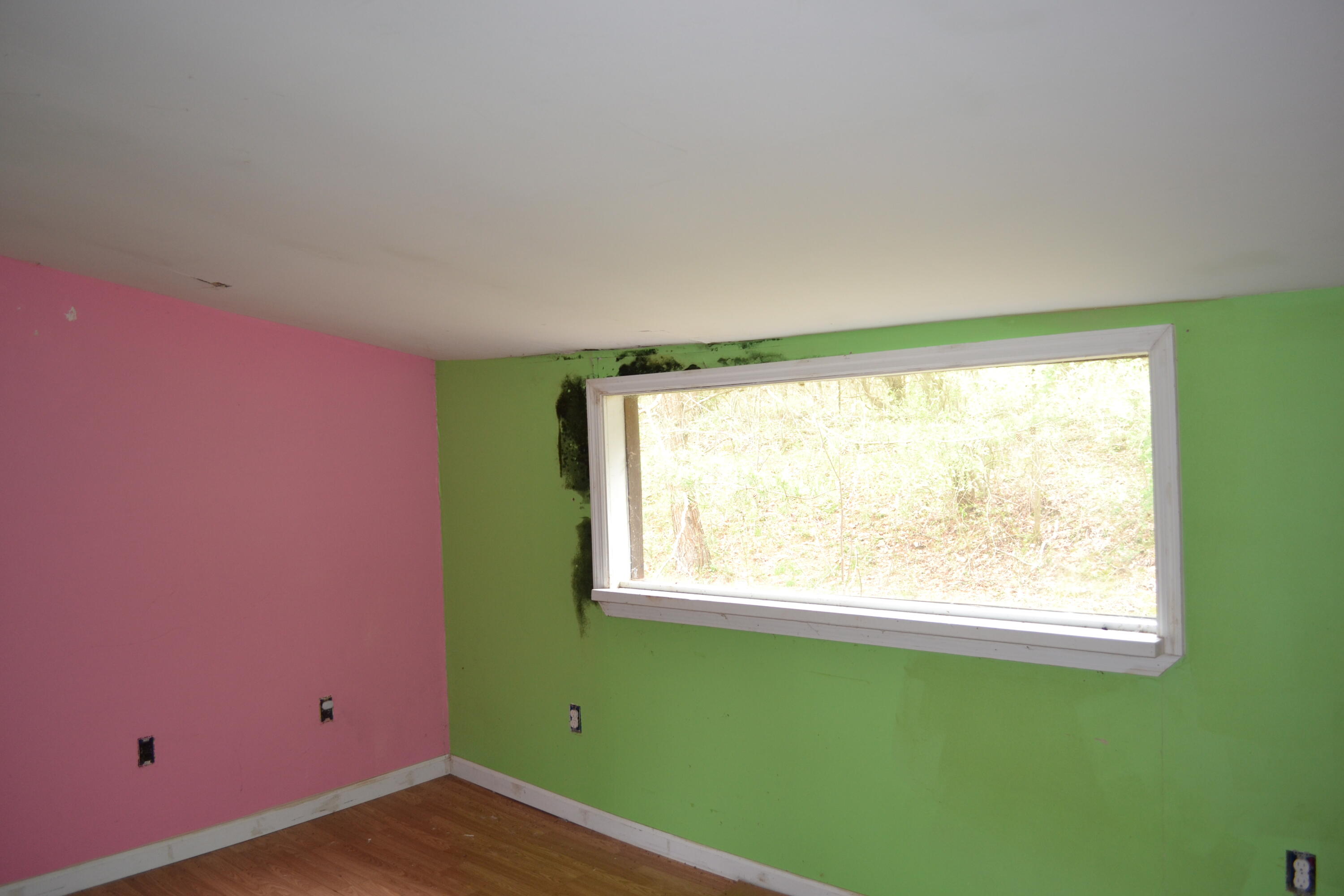 300 Sang Br Road Irvine, KY 40336 - Photo 57 of 62 DSC_5575