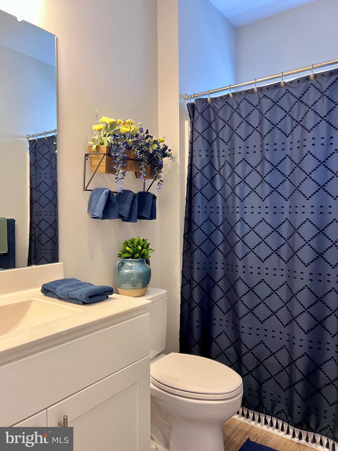 1143 Kayla Lane Townsend, DE 19734 - Photo 26 of 86 a bathroom with a sink a toilet and a shower curtain