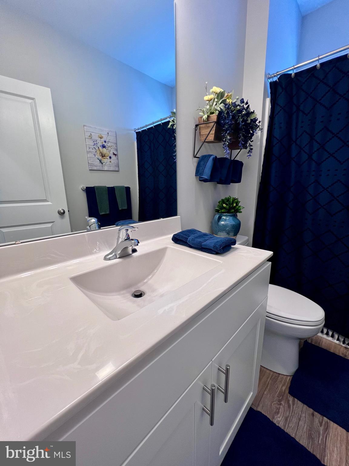 1143 Kayla Lane Townsend, DE 19734 - Photo 27 of 86 a bathroom with a sink toilet and mirror