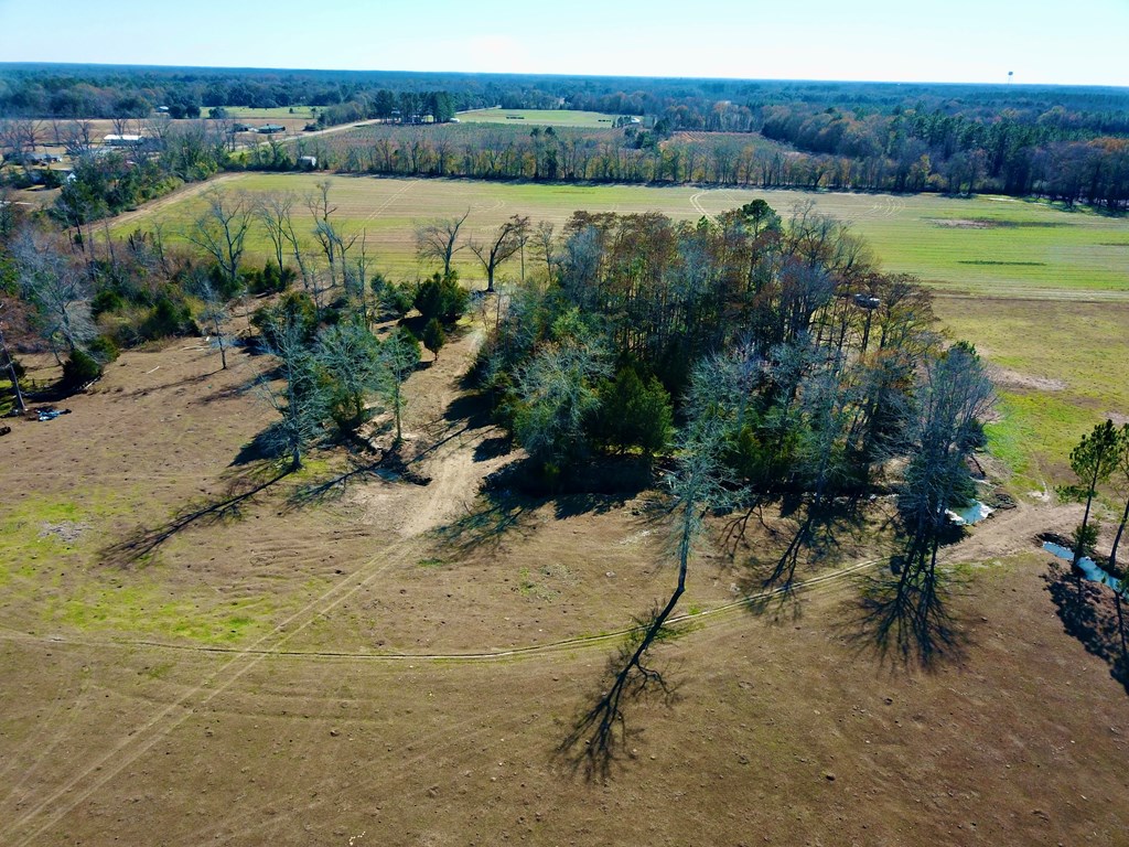 12.7-acres Nobles Road Dothan, AL 36301 - Photo 20 of 41