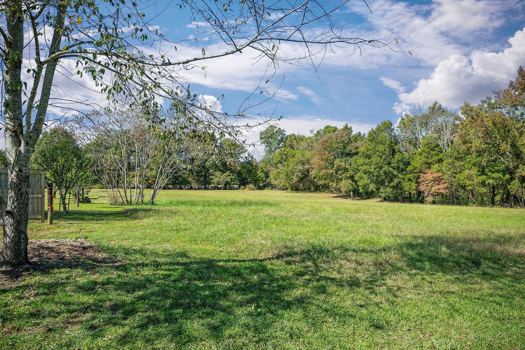 411 Allen Ferry Road Smithville, TN 37166 - Photo 29 of 31