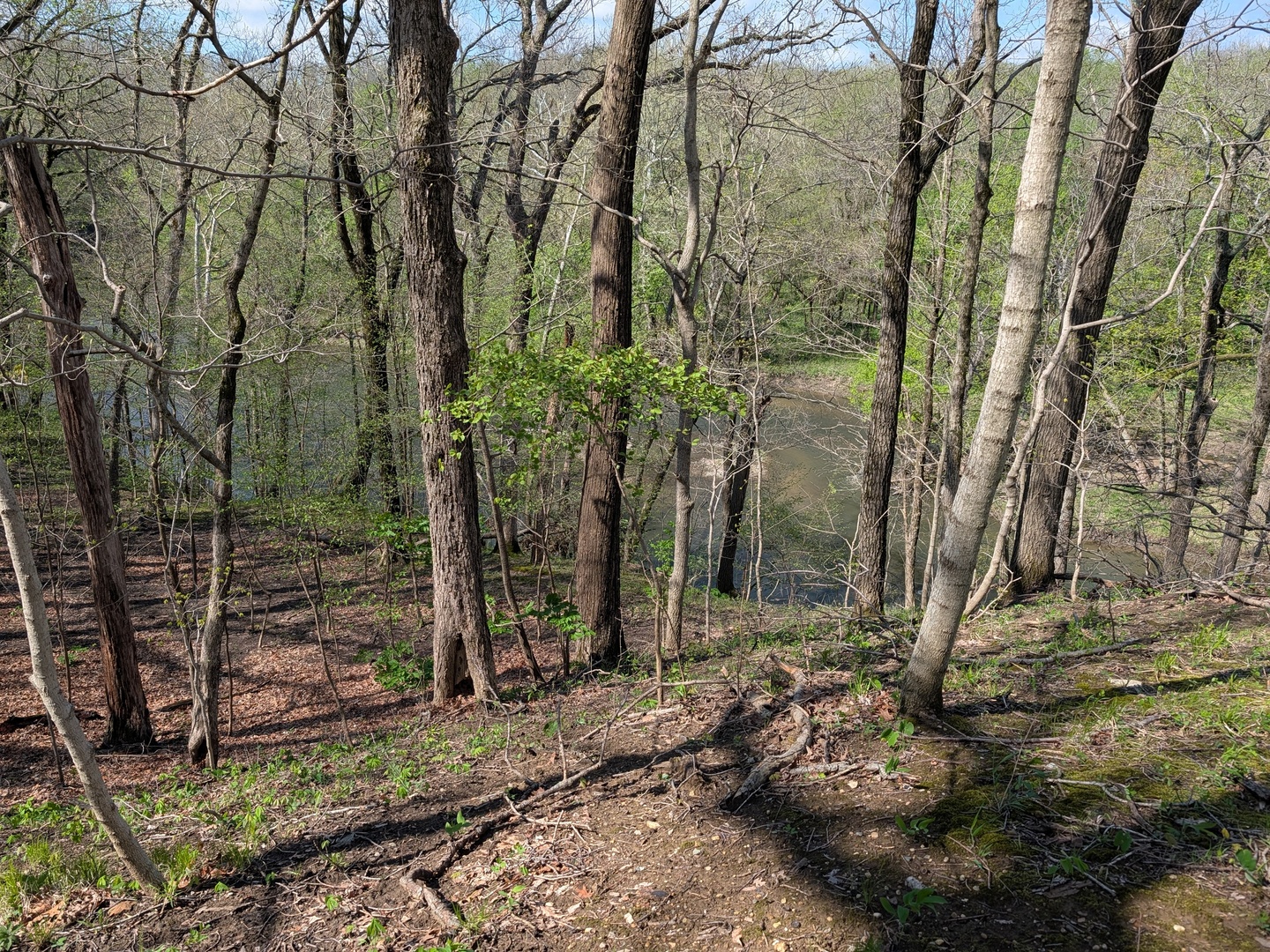 15018 North 630 East Road Fairmount, IL 61841 - Photo 33 of 47