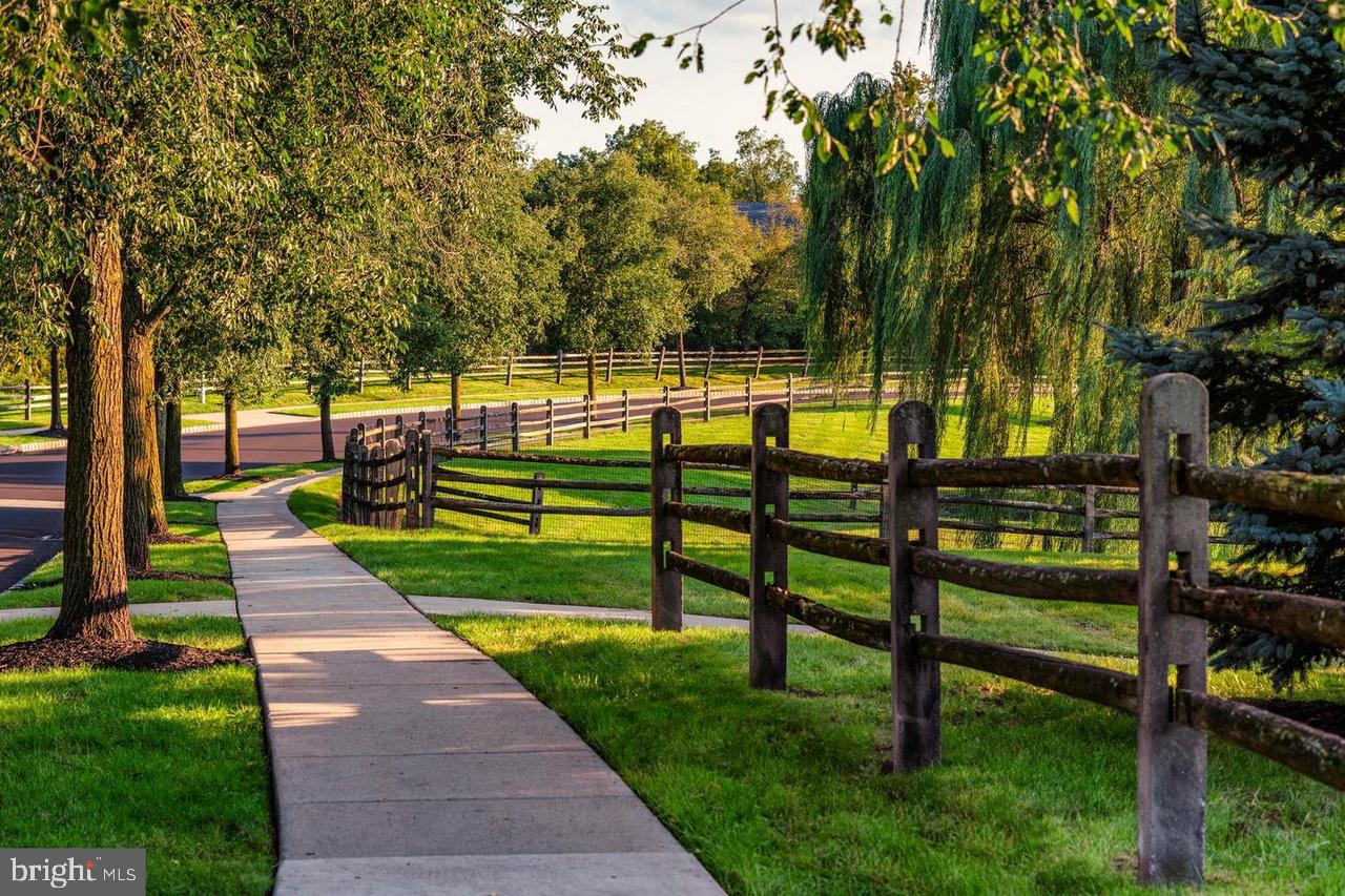 209 Blueberry Court Perkasie, PA 18944 - Photo 22 of 23 a view of park with large trees