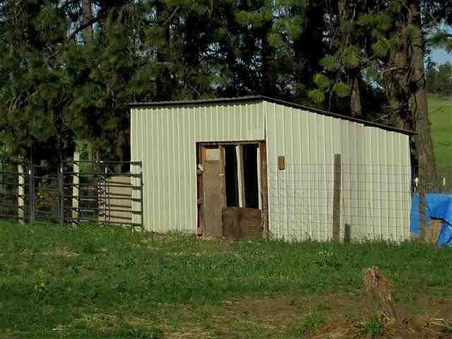 20005 South Spangle Creek Road Spangle, WA 99031 - Photo 12 of 19
